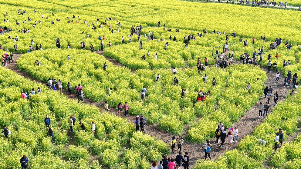 Daejeo Ecological Park, Südkorea, 2016